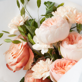 Rosas
